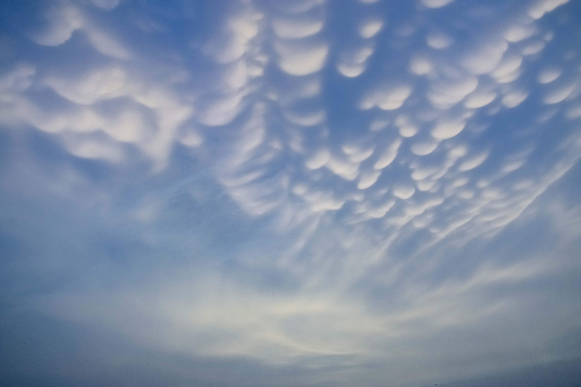 Rzadko spotykane chmury Mammatus nad Polską