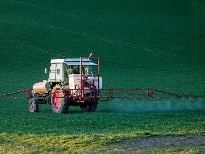 Polska na rozdrożu: Determinuje losy Zielonego Ładu w walce o odbudowę zasobów przyrodniczych