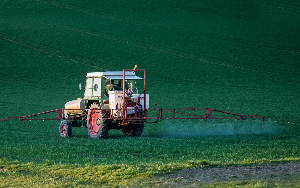 Polska na rozdrożu: Determinuje losy Zielonego Ładu w walce o odbudowę zasobów przyrodniczych